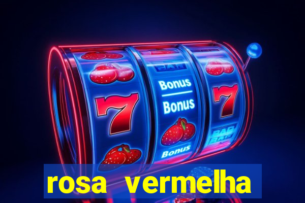 rosa vermelha (letra e cifra)